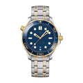 Diver – Blue Silver